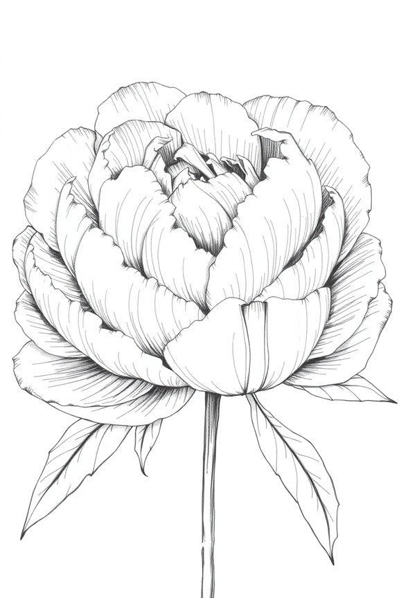 Colors Unleashed: Flower Edition - A Relaxing Coloring Book for All Ages with Beautiful Floral Designs for Stress Relief and Creativity