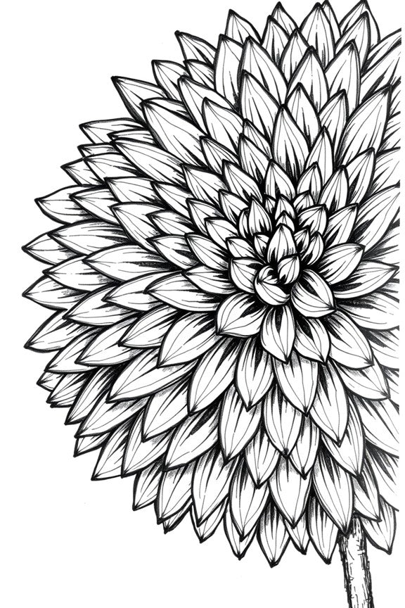 Colors Unleashed: Flower Edition - A Relaxing Coloring Book for All Ages with Beautiful Floral Designs for Stress Relief and Creativity