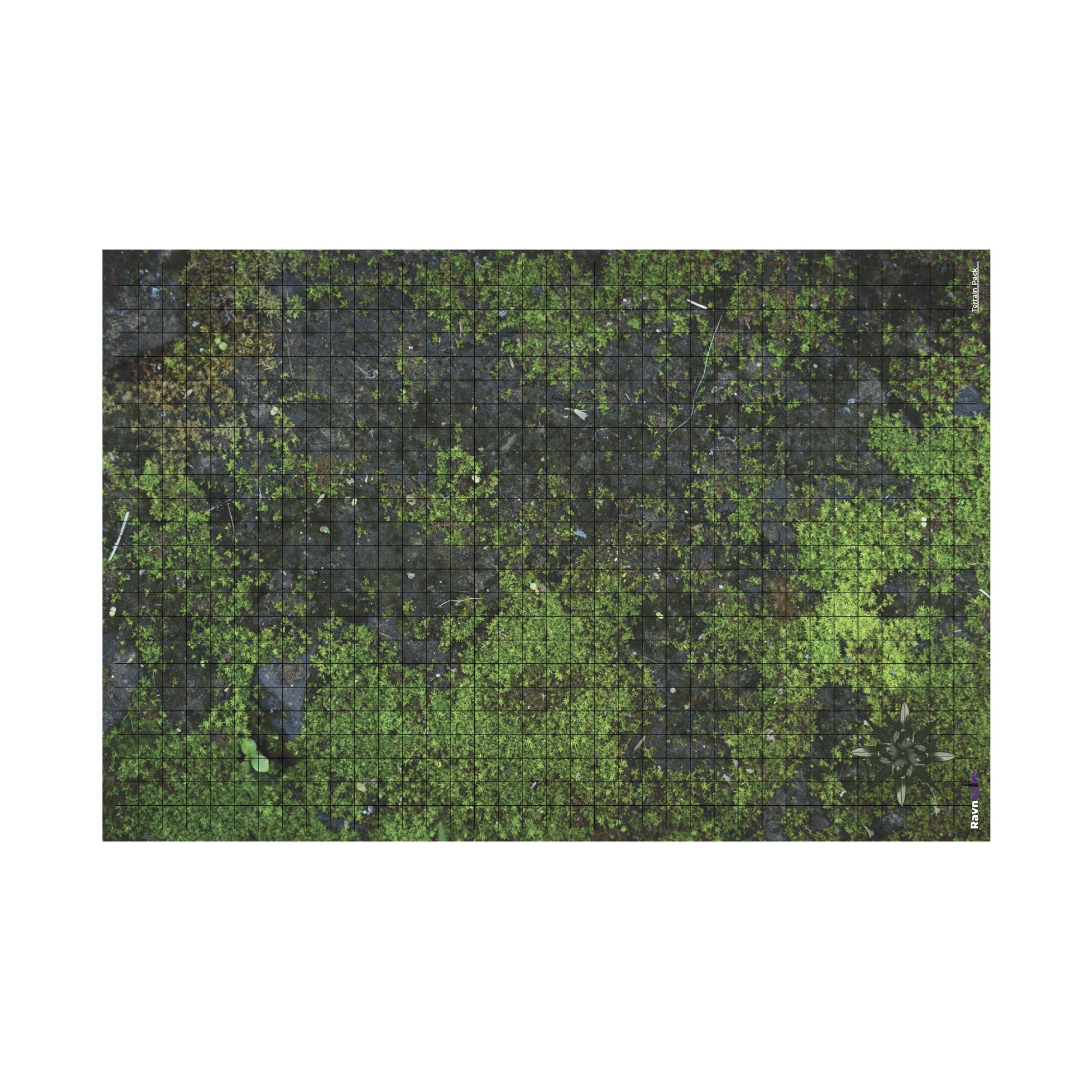 RPG DND Battle Mat 24” x 36” 3 Pack | Terrain Pack 2 - Premium Battle Mats from Ravnspire - Just $39.99! Shop now at Ravnspire